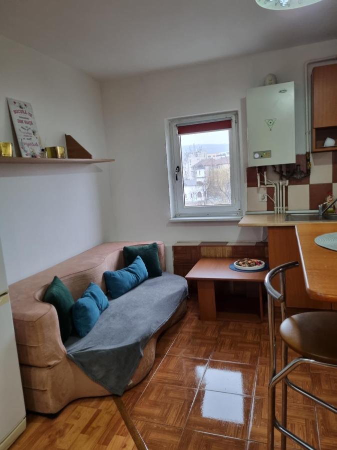 Marya's Apartment Ramnicu Valcea